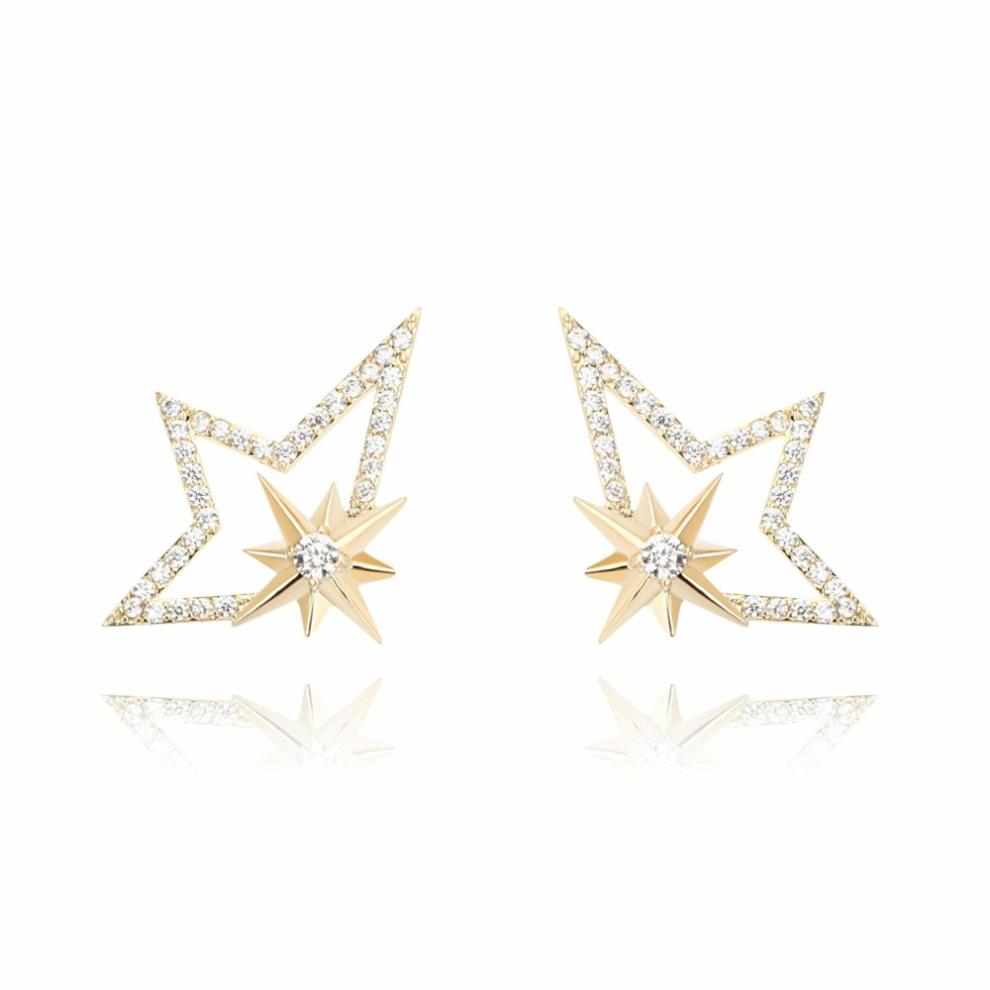 Vintage Havana Earrings | Women DELLA EARRING