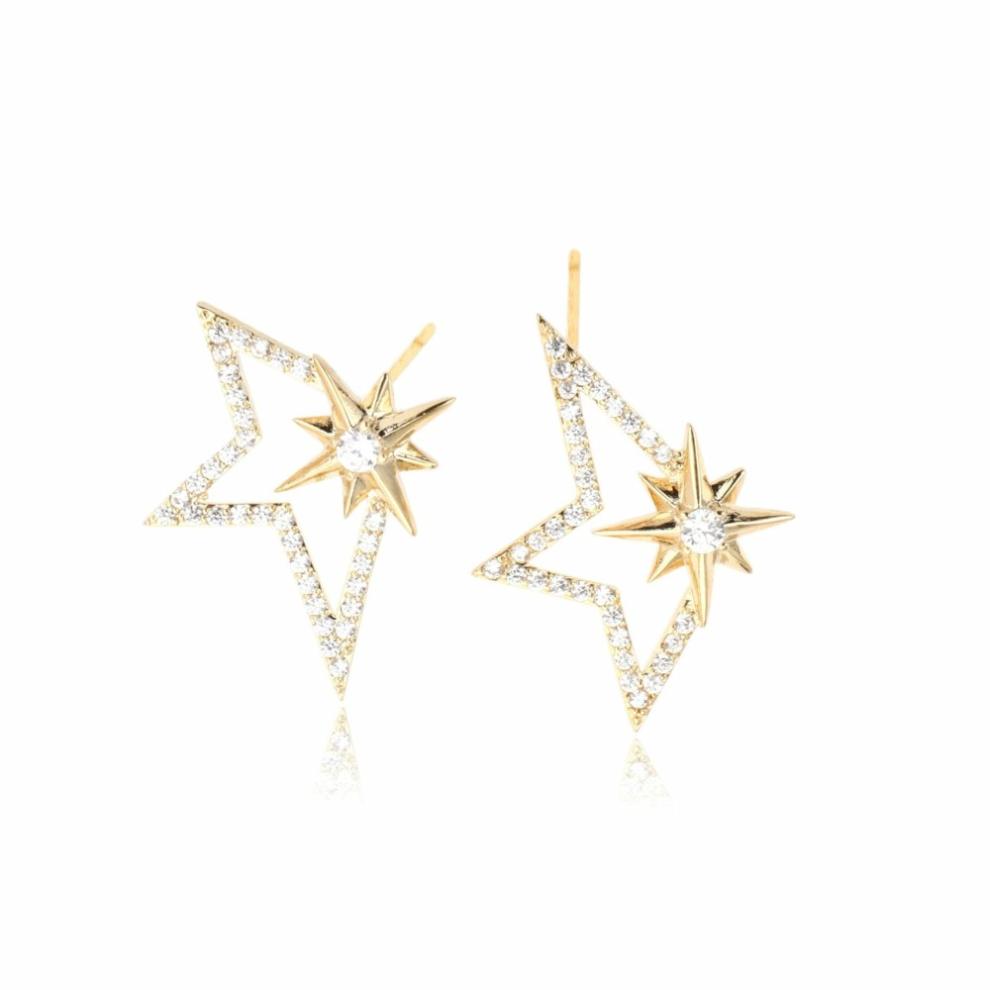 Vintage Havana Earrings | Women DELLA EARRING