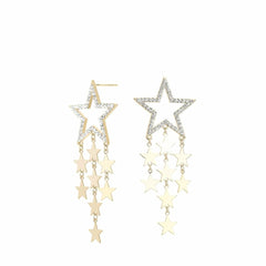 Vintage Havana Earrings | Women FIONA EARRING