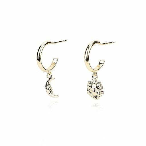 Vintage Havana Earrings | Women HARMONY EARRINGS