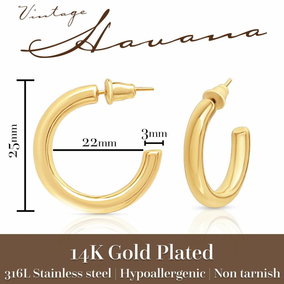 Vintage Havana Earrings | Women MARIELLE EARRINGS